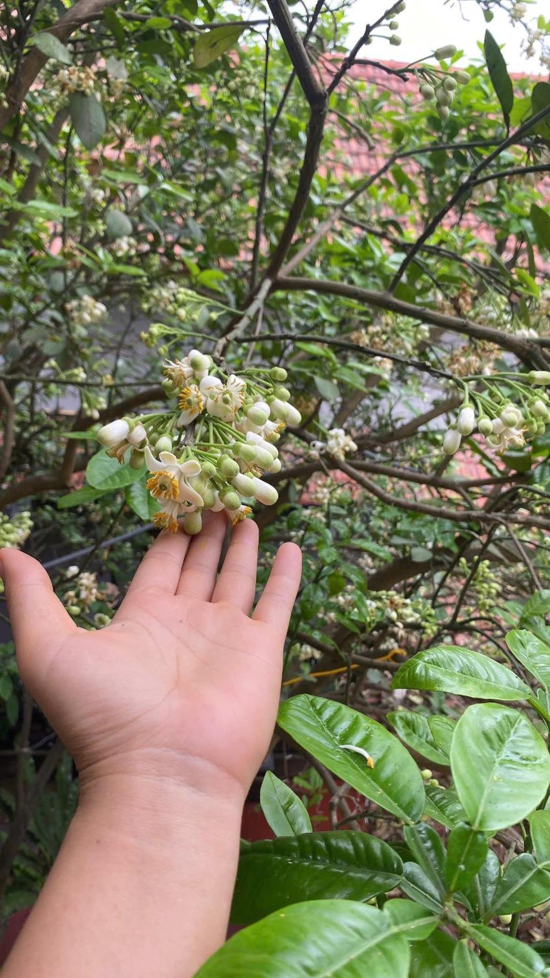 Tam Coc Happy Home ニンビン エクステリア 写真
